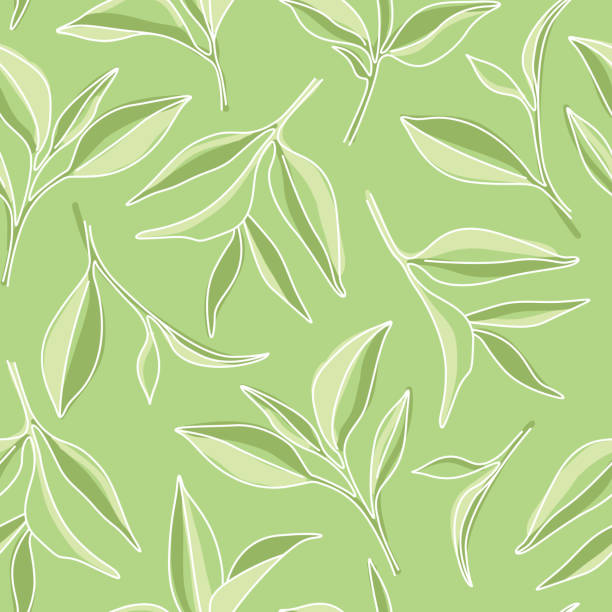 Matcha Leaves Pattern 8,300+ Matcha Stock Illustrations, Royalty-Free Vector Graphics & Clip ...