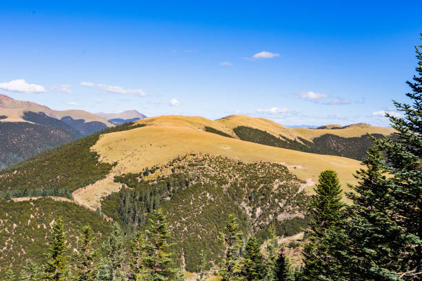 istock high angle view of mountain and grassland 1161352106