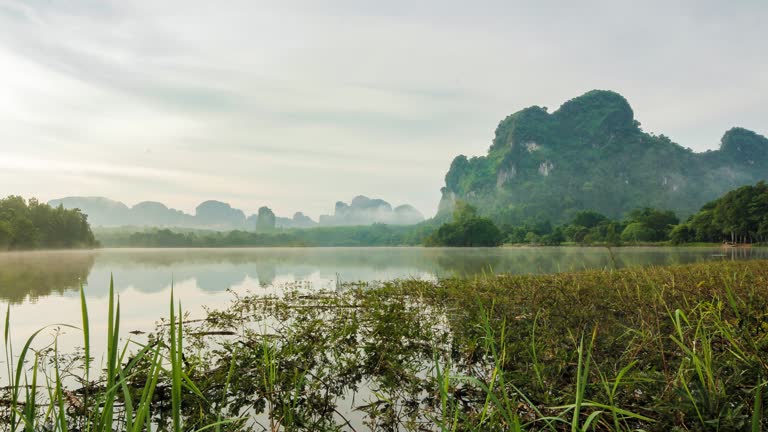 Amazing Timelapse in rural Thailand, outdoors during the early morning hours in supreme quality (4K/UHD to HD) - Creative Stock Video