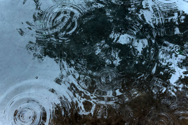 istock circles from raindrops on the surface of the pond 1161353594