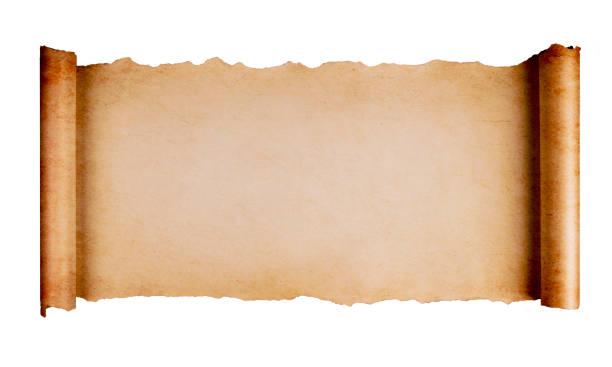 Scroll Paper Isolated Vintage blank paper scroll isolated on white background with copy space. papyrus paper photos stock pictures, royalty-free photos & images