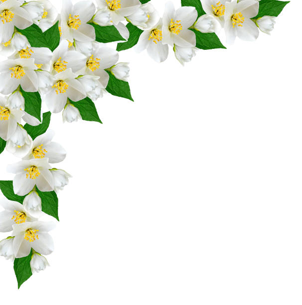 istock Bright and colorful bouquets of flowers 1161357049