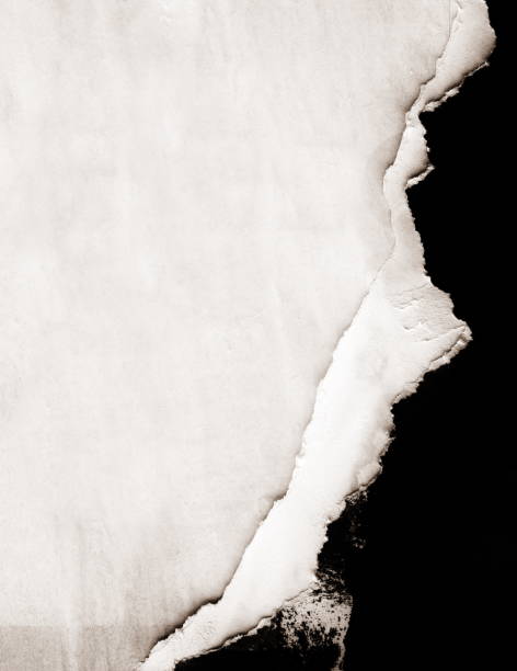 istock Blank white black old ripped torn paper crumpled creased posters grunge textures backdrop backgrounds placard - Stock image 1161358661