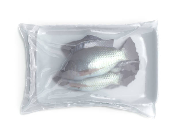 istock set of vacuum packed fish 3d render on white 1161360019