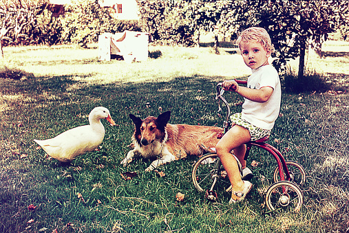 Vintage photo of a blonde kid biking on a tricycle outdoors with a dock and a collie dog by her side.