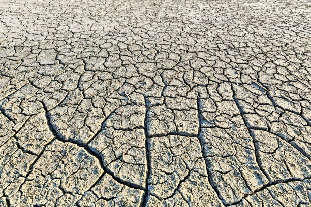 terra rachada seca - dirt eroded nature abstract nature - fotografias e filmes do acervo