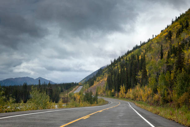 istock American Hwy in the wood 1161365331