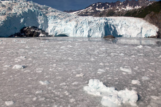 istock Aialik Glacier in Aialik Bay 1161365402