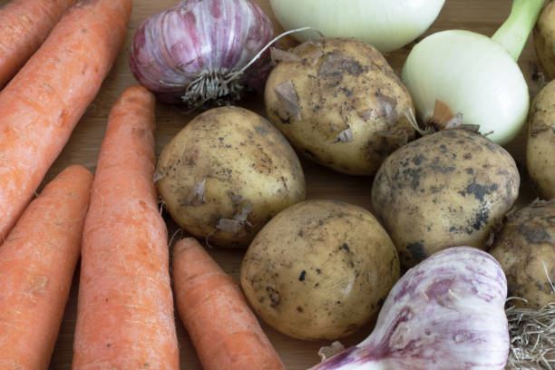 istock potatoes lying on a wooden table next to carrots, garlic and onions complement the composition of vegetables 1161365494