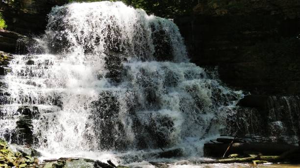 istock Waterfall in the Middle of Wilderness 1161365605