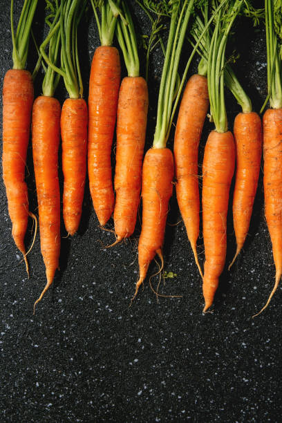 istock Carrot with tops in row 1161368492