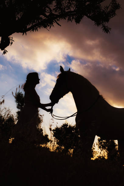 mulher com o cavalo na silhueta e no por do sol - halter horse animal adult - fotografias e filmes do acervo