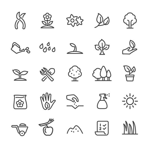 14,500+ Plant Bulb Illustrations, Royalty-Free Vector Graphics & Clip ...
