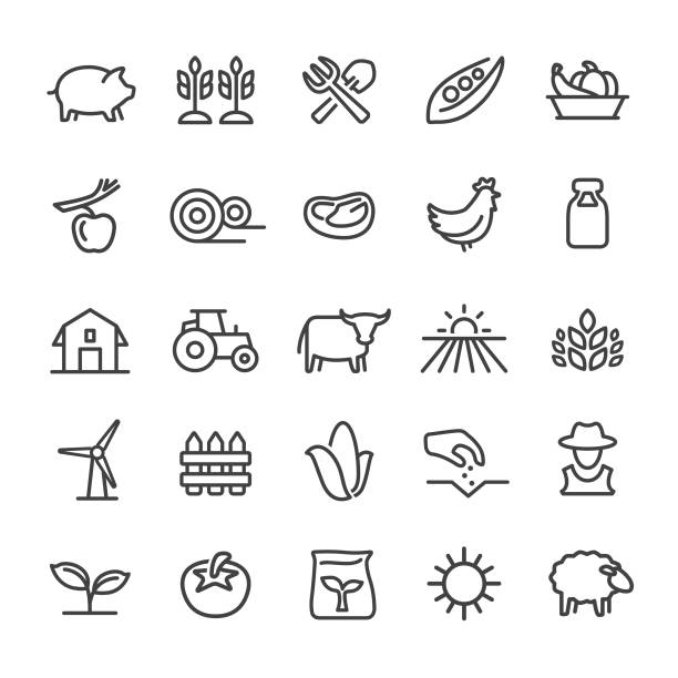 illustrazioni stock, clip art, cartoni animati e icone di tendenza di icone agricole - serie smart line - chicken silhouette animal rooster