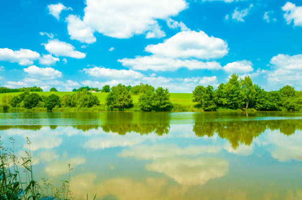 reflecting clouds on a lake with trees and meadows