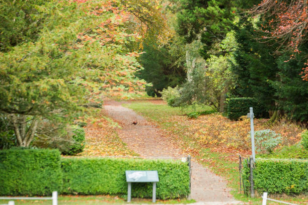 istock Autumn day in Scotland-117.dng 1161375710