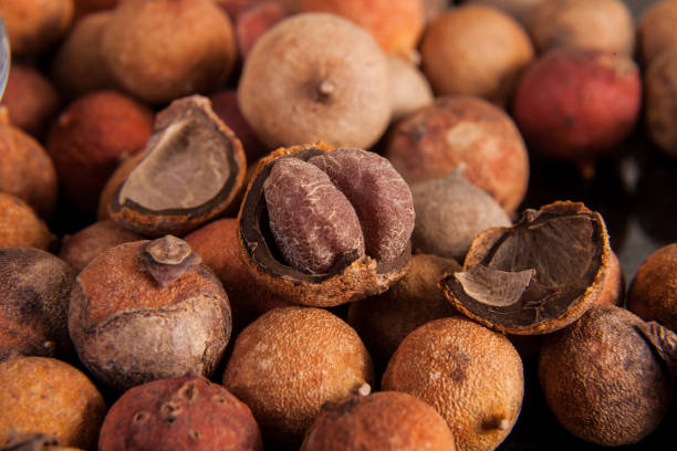 istock Tropical corozo fruit - Bactris guineensis 1161379599