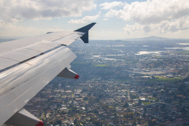 This is a picture in Auckland.