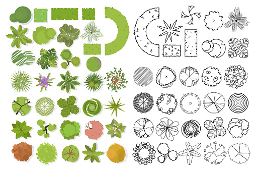 Trees top view. Different trees, plants vector set for architectural or landscape design. Set of linear and color flat  illustration