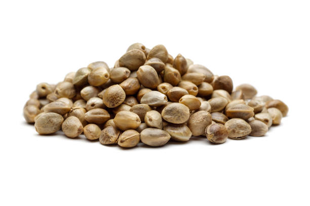istock Heap of dry hemp seeds isolated on white 1161384933