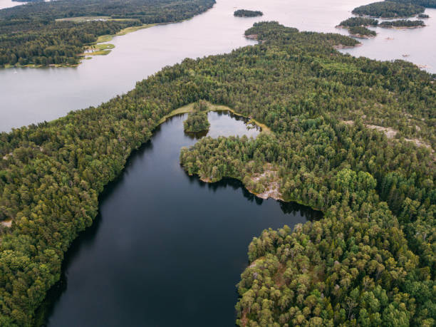 aerial view of blue lakes and green forests on a sunny summer day in  pentala island museum, finland - coastline aerial view forest pond imagens e fotografias de stock