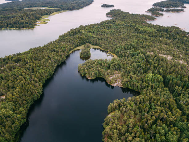 вид с воздуха на голубые озера и зеленые леса в солнечный летний день в музее острова пентала, финляндия - coastline aerial view forest pond стоковые фото и изображения