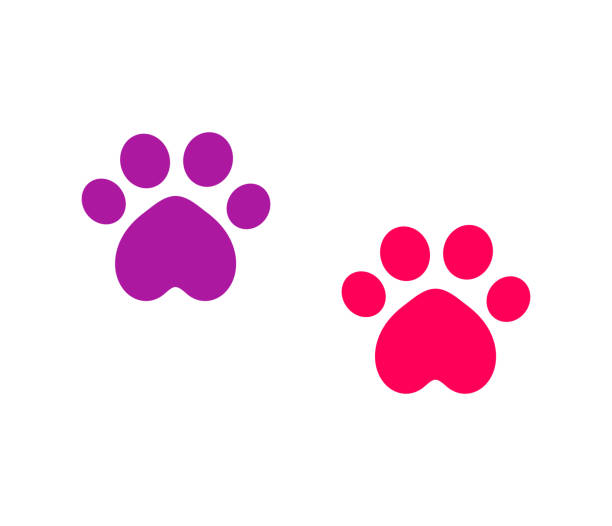 ilustrações de stock, clip art, desenhos animados e ícones de two cute cat paw prints icons. - heart shape animal heart love symbol