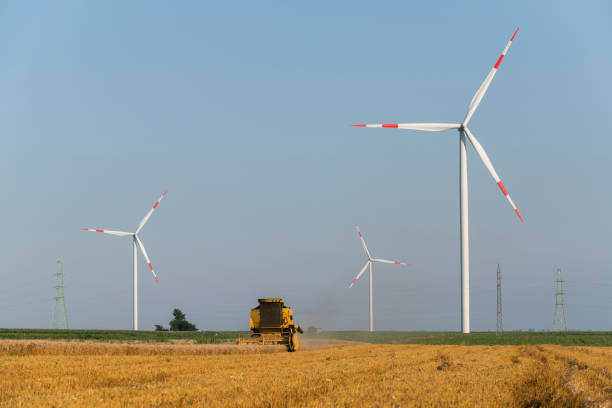 istock wheat harvest and wind farm turbines 1161386095