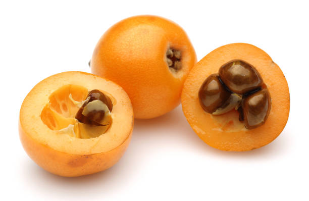 istock Ripe loquat fruits isolated on white 1161386655