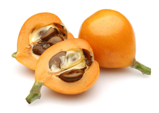 istock Ripe loquat fruits isolated on white 1161386758