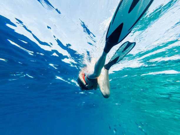 istock Snorkeling in Maldives sea 1161389053