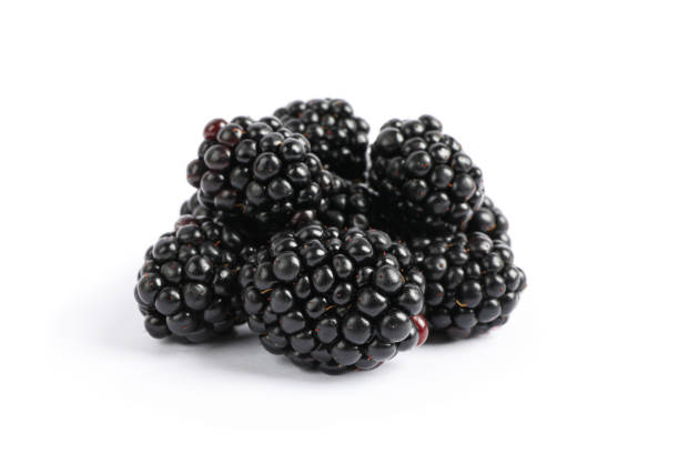 istock Fresh blackberry isolated on white background, close up 1161390491