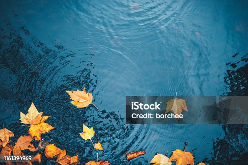 istock Autumn Background 1161394969