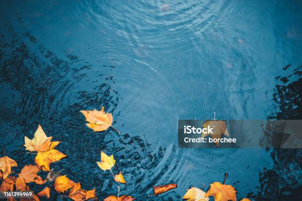 Autumn Background Stock Photo - Download Image Now - Autumn, Water, Falling