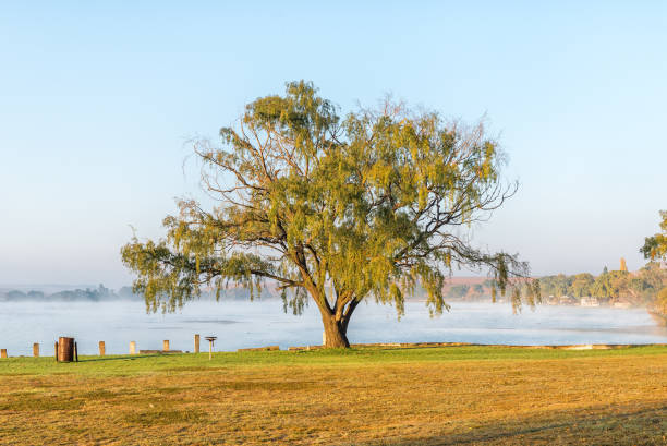 Camping sites next to the dam at Vrede in the Free State Province