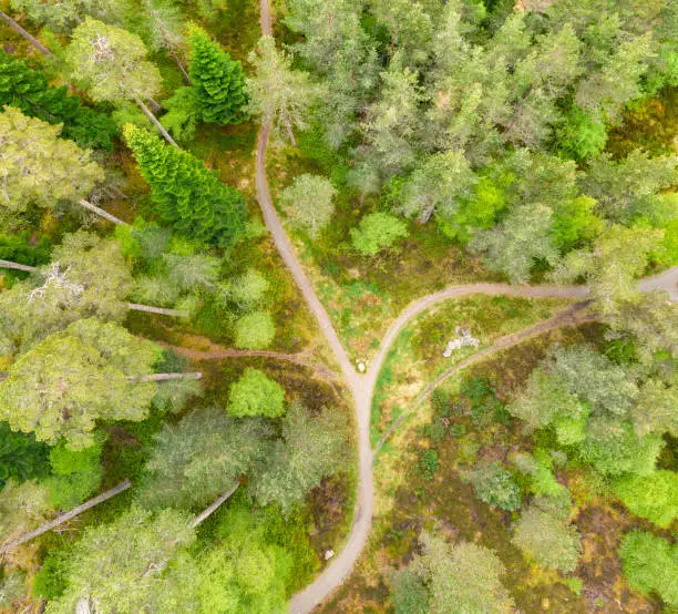 An aerial view from directly above a dividing path through a forest in the Scottish Highlands.