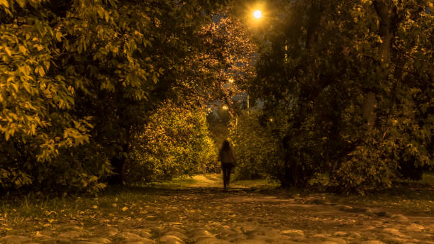 istock night walk in the autumn city Park 1161409745