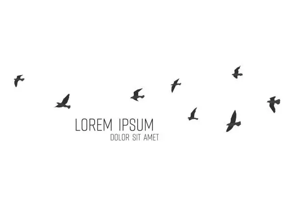 силуэт стаи летающих птиц силуэт стаи летающих птиц