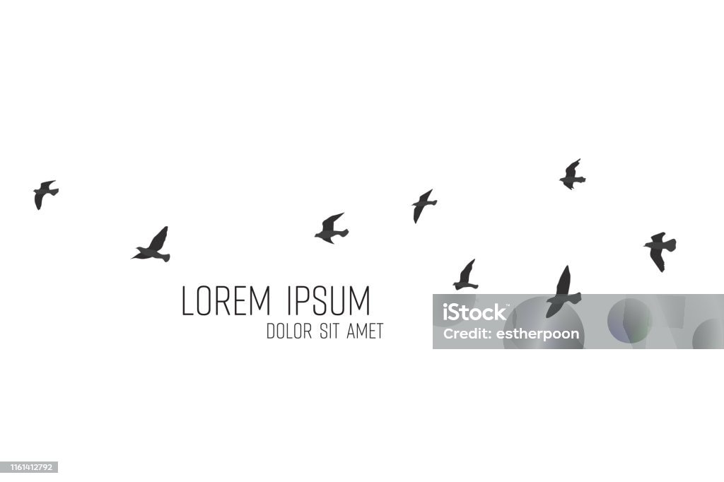 silhouette of a flock of flying birds Bird stock vector