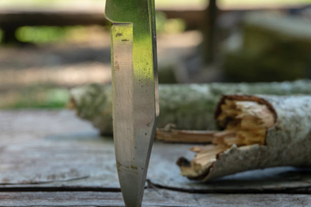 istock Folding knife stuck upright in an old picnic table 1161415103