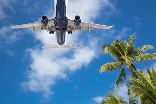 istock Bottom View of Passenger Airplane Flying Over Tropical Palm Trees 1161416232