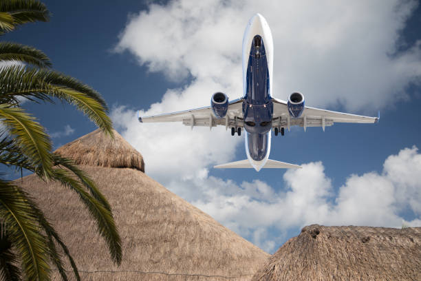 istock Bottom View of Passenger Airplane Flying Over Tropical Palm Trees and Huts 1161416241