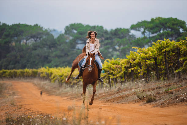 Young woman practicing with her horse.   