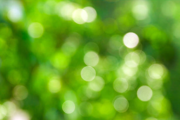 istock Green blurred abstract bokeh background, background for environmental concepts 1161416481