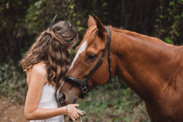istock Happiest are those who love horses 1161416745