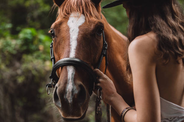 istock Hold onto the ones you love 1161416747