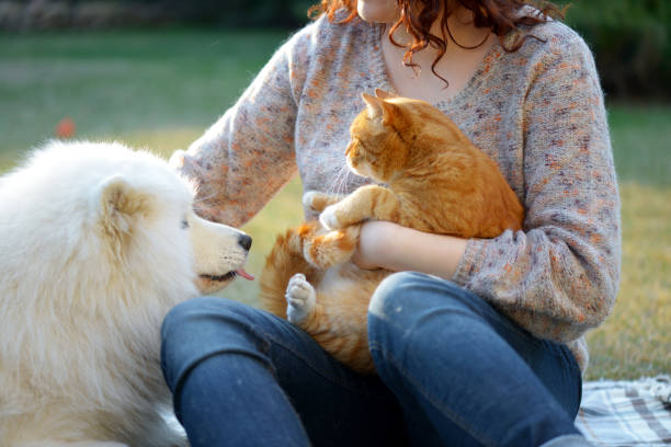 istock Woman,Dog and Cat ( summer) 1161417822