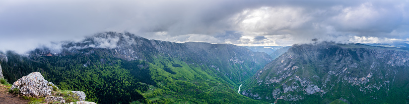 Montenegro, XXL panorama of endless green tara river canyon nature landscape with cloudy sky from above in durmitor national park near zabljak in springtide