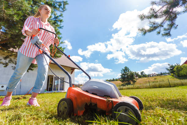 istock Person mowing green grass 1161419484