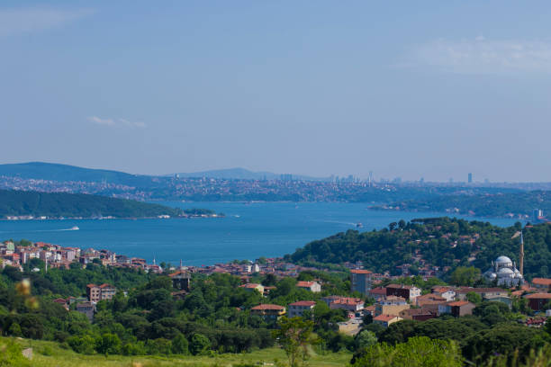 istock view of the istanbul 1161421770